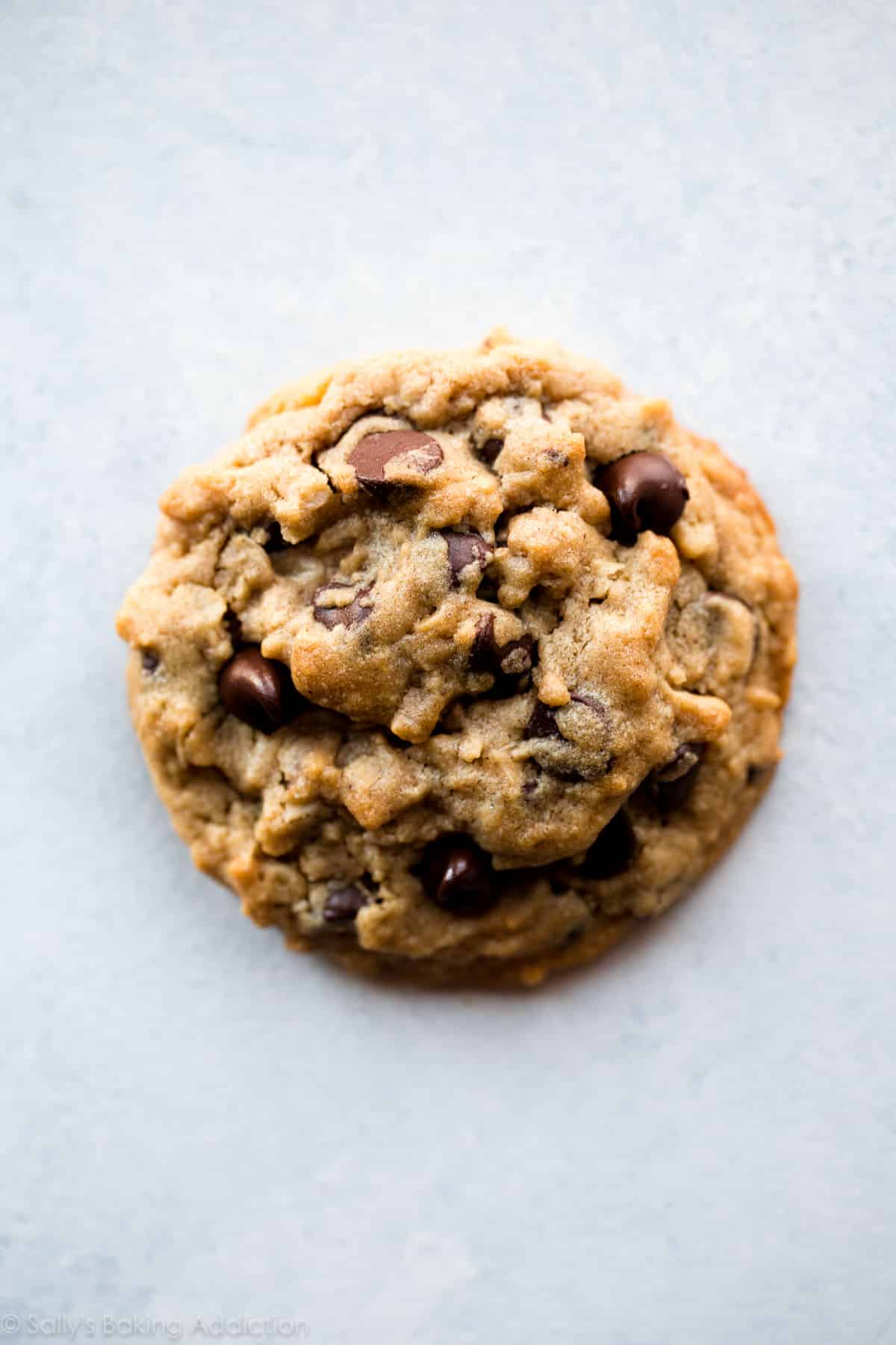 Irresistible Big Fat Chocolate Peanut Butter Oatmeal Cookies
